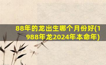 88年的龙出生哪个月份好(1988年龙2024年本命年)