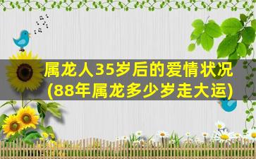 属龙人35岁后的爱情状况(88年属龙多少岁走大运)