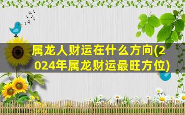 属龙人财运在什么方向(2024年属龙财运最旺方位)