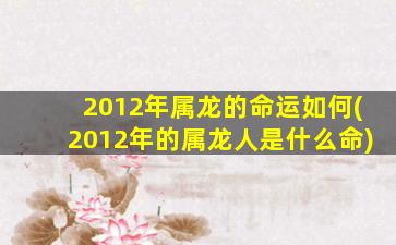 2012年属龙的命运如何(2012年的属龙人是什么命)