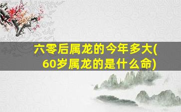 六零后属龙的今年多大