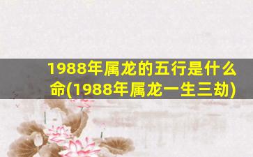 1988年属龙的五行是什么命(1988年属龙一生三劫)