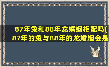 87年兔和88年龙婚姻相配吗(87年的兔与88年的龙婚姻会是怎样)