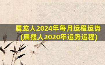 属龙人2024年每月运程运