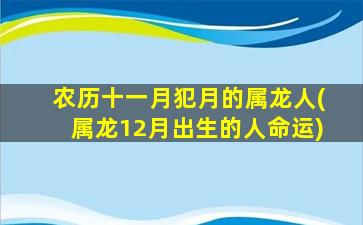 农历十一月犯月的属龙人