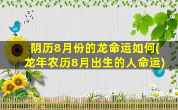 阴历8月份的龙命运如何(龙年农历8月出生的人命运)