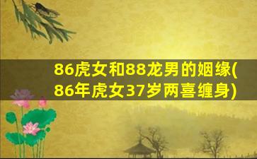 86虎女和88龙男的姻缘(86年虎女37岁两喜缠身)