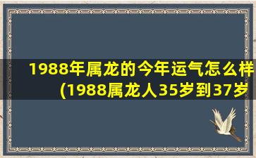 1988年属龙的今年运气怎么