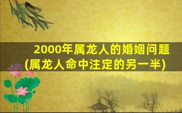 2000年属龙人的婚姻问题