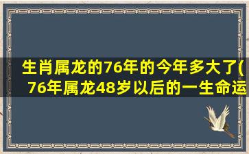 生肖属龙的76年的今年多大了(76年属龙48岁以后的一生命运)