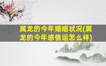 属龙的今年婚姻状况(属龙的今年感情运怎么样)