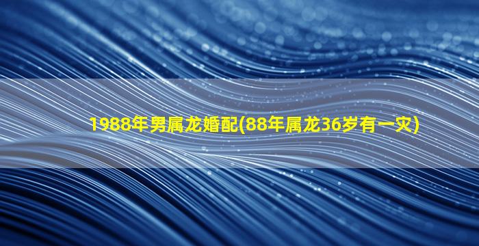 1988年男属龙婚配(88年属龙36岁有一灾)