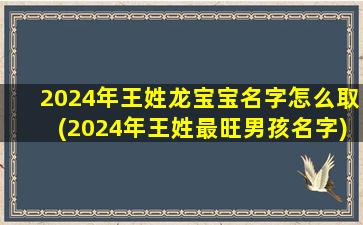 2024年王姓龙宝宝名字怎么