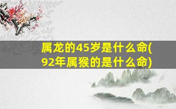 属龙的45岁是什么命(92年