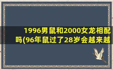 1996男鼠和2000女龙相配吗(96年鼠过了28岁会越来越好)