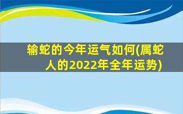 输蛇的今年运气如何(属