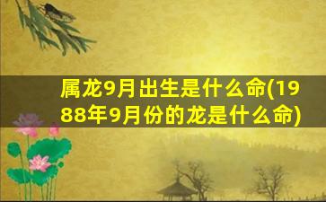 属龙9月出生是什么命(