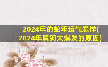 2024年的蛇年运气怎样(