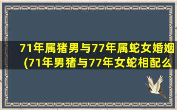 71年属猪男与77年属蛇女