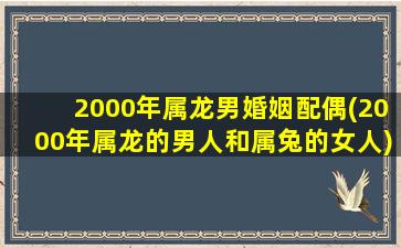 2000年属龙男婚姻配偶(20