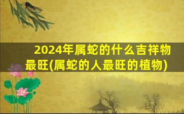 2024年属蛇的什么吉祥物最旺(属蛇的人最旺的植物)