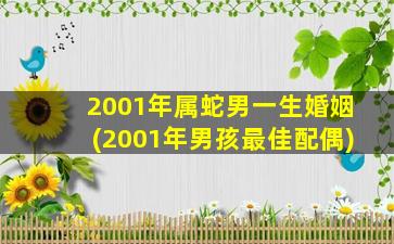 2001年属蛇男一生婚姻(