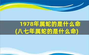 1978年属蛇的是什么命(八