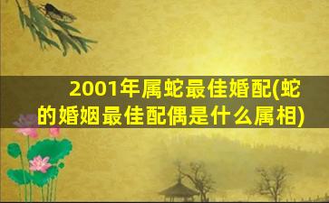 2001年属蛇最佳婚配(蛇的