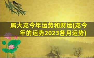 属大龙今年运势和财运(龙今年的运势2023各月运势)