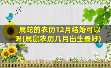 属蛇的农历12月结婚可以