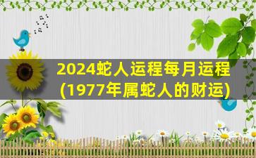 2024蛇人运程每月运程(1977年属蛇人的财运)