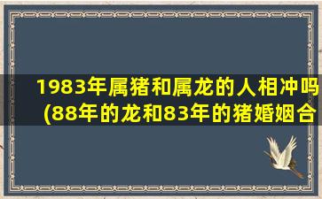 1983年属猪和属龙的人相