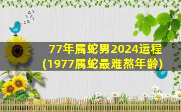 77年属蛇男2024运程(1977属蛇最难熬年龄)