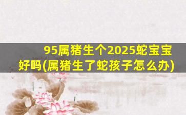 95属猪生个2025蛇宝宝好吗