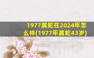 1977属蛇在2024年怎么样