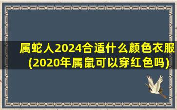 属蛇人2024合适什么颜色