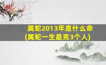 属蛇2013年是什么命(属蛇