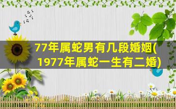 77年属蛇男有几段婚姻