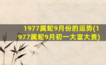 <strong>1977属蛇9月份的运势(1977属</strong>