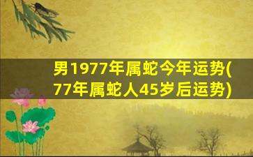 男1977年属蛇今年运势(77年属蛇人45岁后运势)