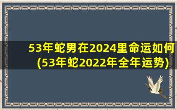 53年蛇男在2024里命运如何