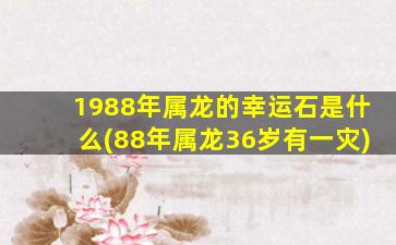 1988年属龙的幸运石是什么(88年属龙36岁有一灾)