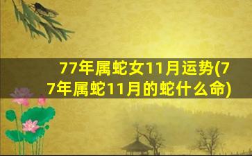 77年属蛇女11月运势(77年