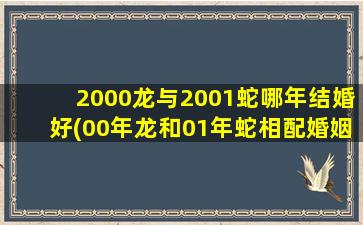 <strong>2000龙与2001蛇哪年结婚好</strong>