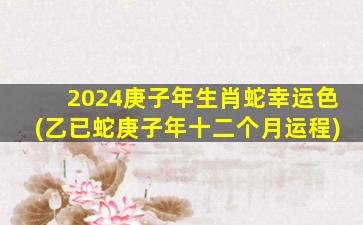 2024庚子年生肖蛇幸运色(乙已蛇庚子年十二个月运程)