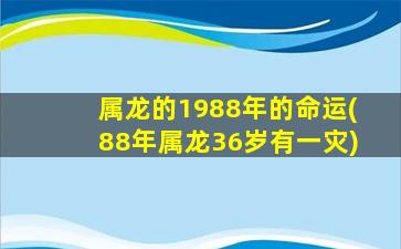 属龙的1988年的命运(88年