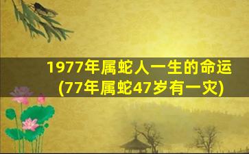 1977年属蛇人一生的命运(77年属蛇47岁有一灾)