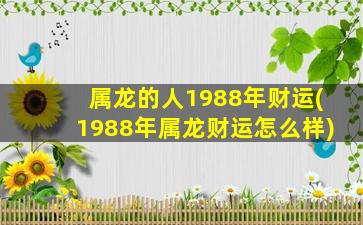 属龙的人1988年财运(1988年属龙财运怎么样)