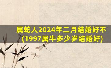 属蛇人2024年二月结婚好不(1997属牛多少岁结婚好)