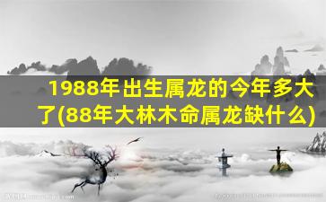 1988年出生属龙的今年多大了(88年大林木命属龙缺什么)